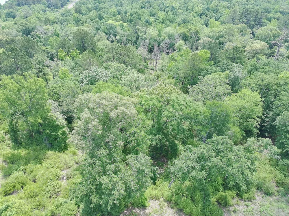 133 Pr 1313 Centerville, TX 75833