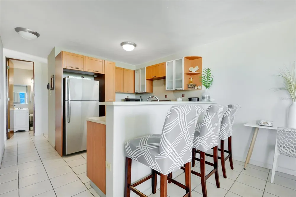 115 115 #401 Rincon, PR 00677