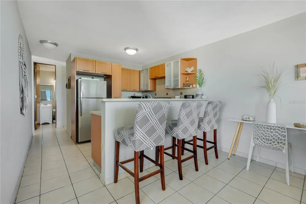 115 115 #401 Rincon, PR 00677