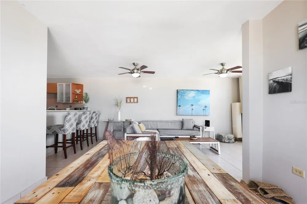 115 115 #401 Rincon, PR 00677