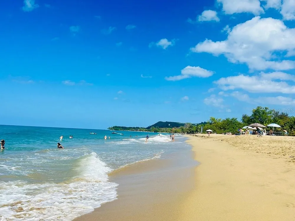 115 115 #401 Rincon, PR 00677