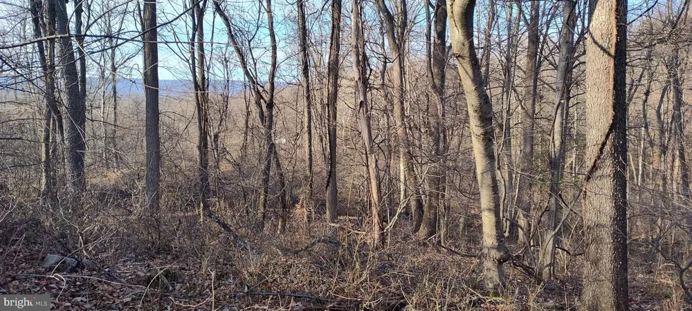 1339 SPRUCE HILL ROAD Port Royal, PA 17082