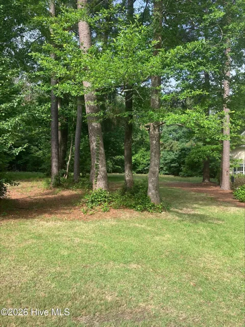 157 Southern Magnolia Lane
