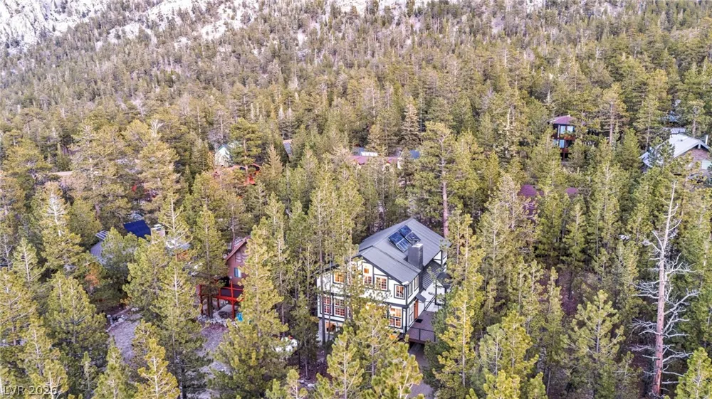 2162 Via Spes Nostra Street Mount Charleston, NV 89124