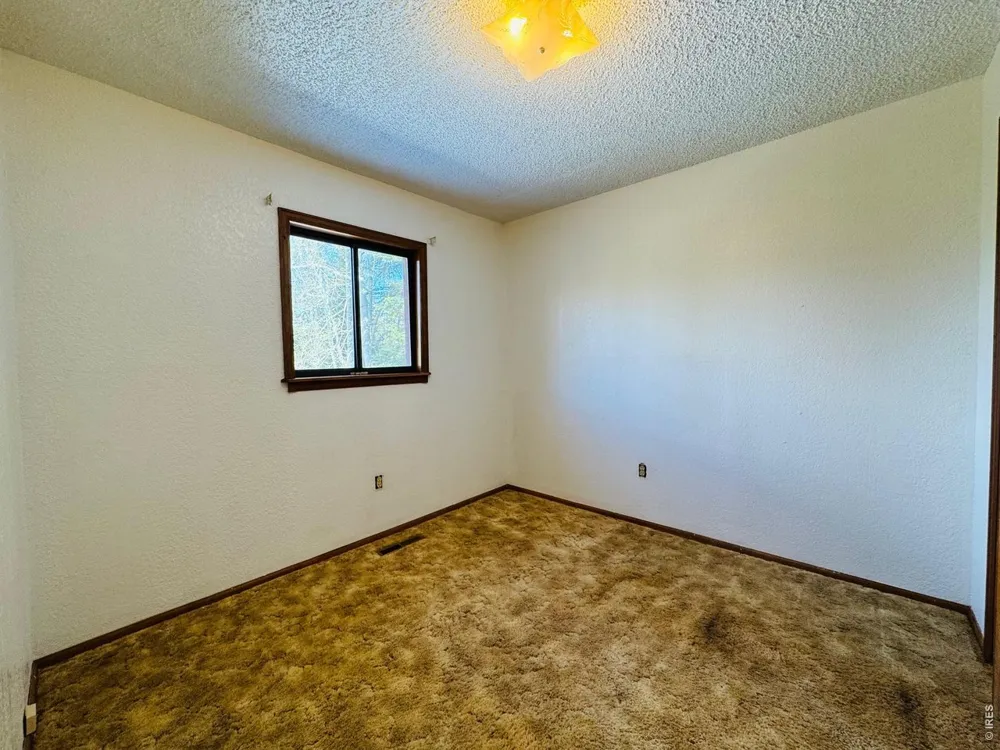 44 Alpine Lane Walden, CO 80480