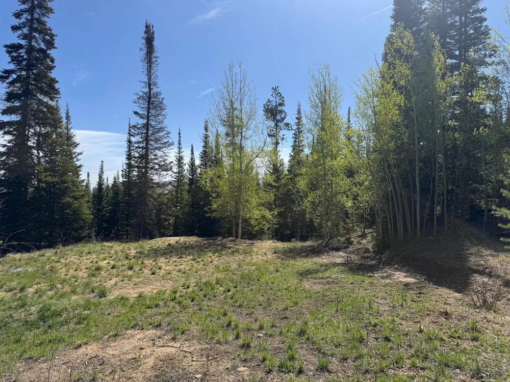 44 Alpine Lane Walden, CO 80480