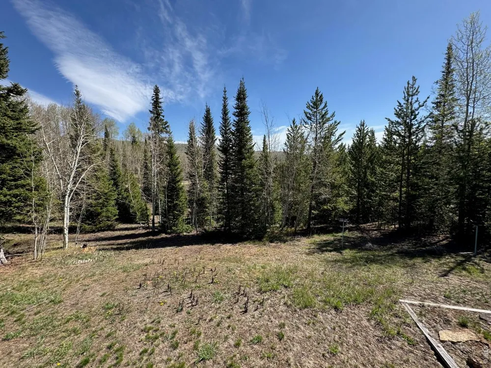 44 Alpine Lane Walden, CO 80480
