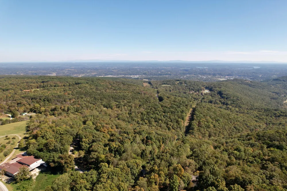 445 Ogden Road Dayton, TN 37321