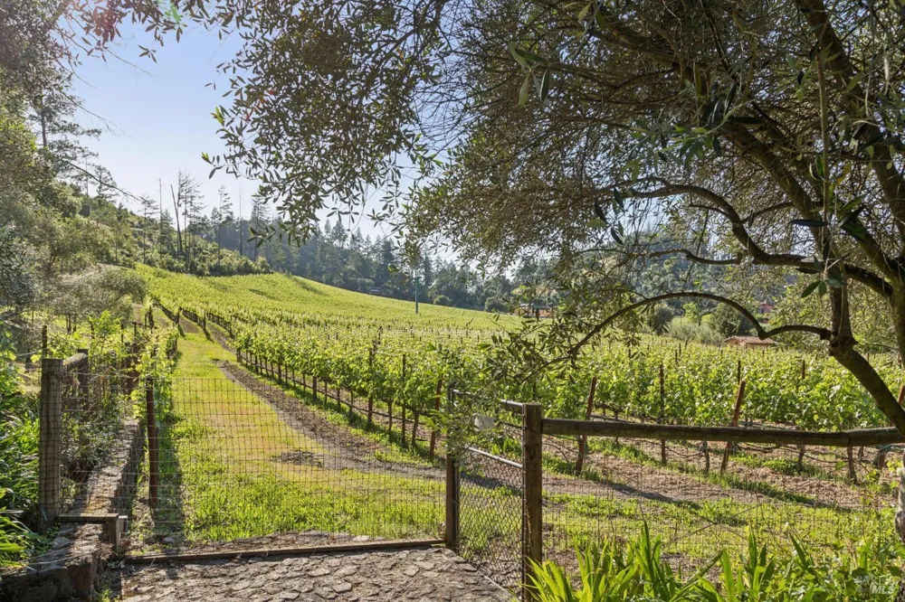 391 Crystal Springs Road St. Helena, CA 94574