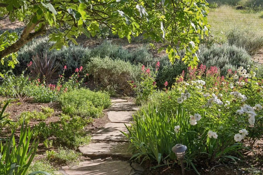 391 Crystal Springs Road St. Helena, CA 94574