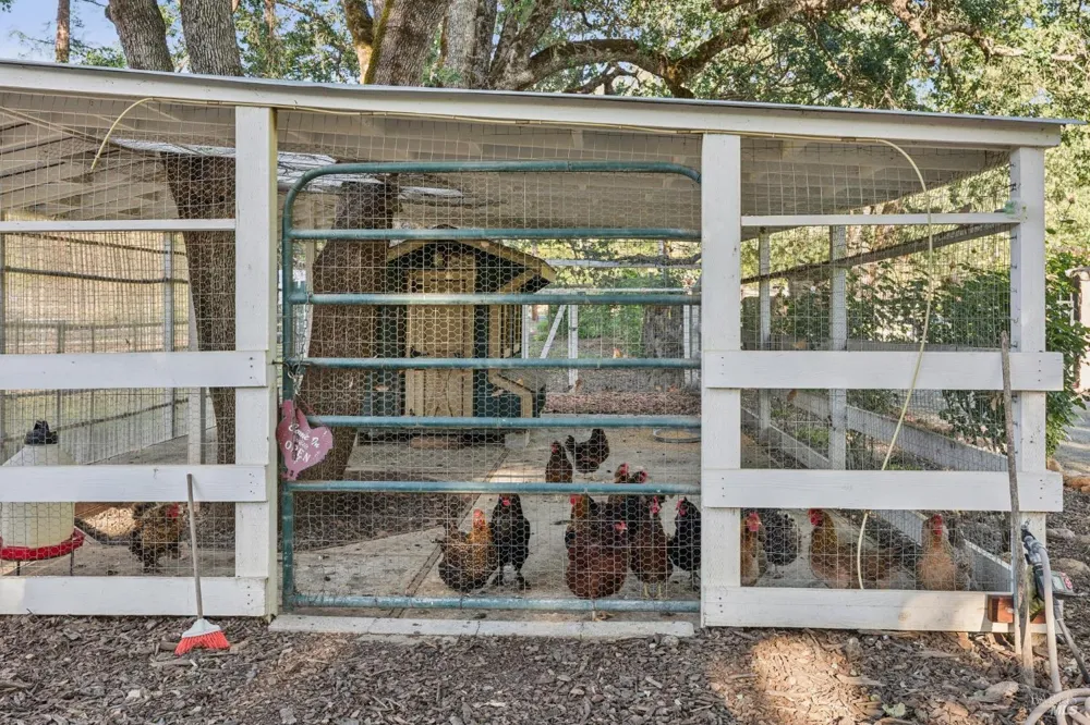 391 Crystal Springs Road St. Helena, CA 94574