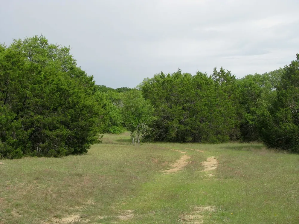 1233 County Road 434 Hamilton, TX 76531
