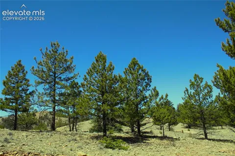 12451 Highway 24