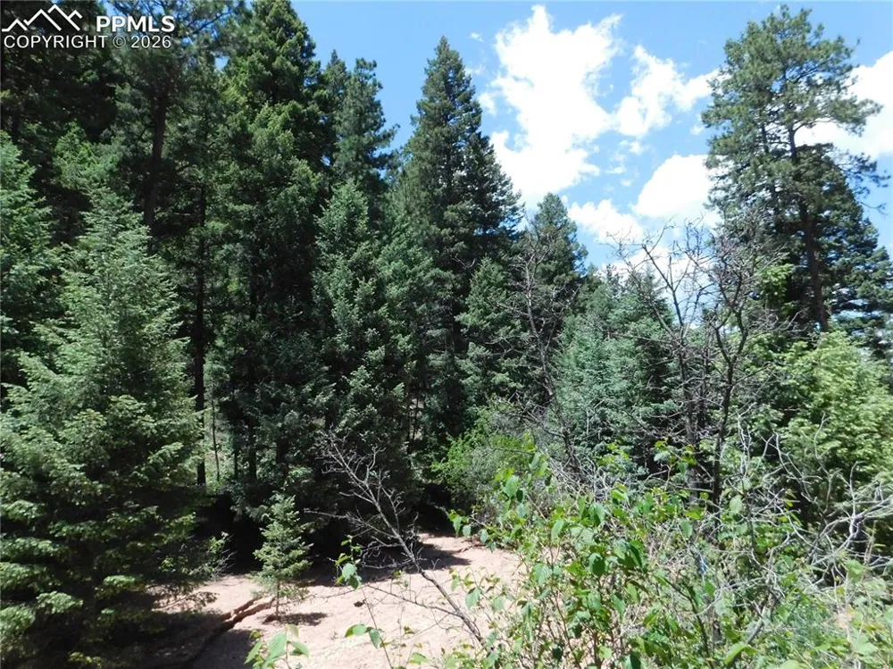 13175 Spruce Creek Circle Larkspur, CO 80118