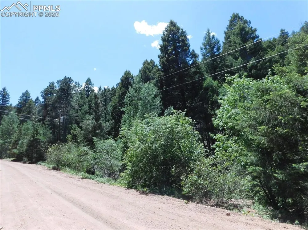 13175 Spruce Creek Circle Larkspur, CO 80118