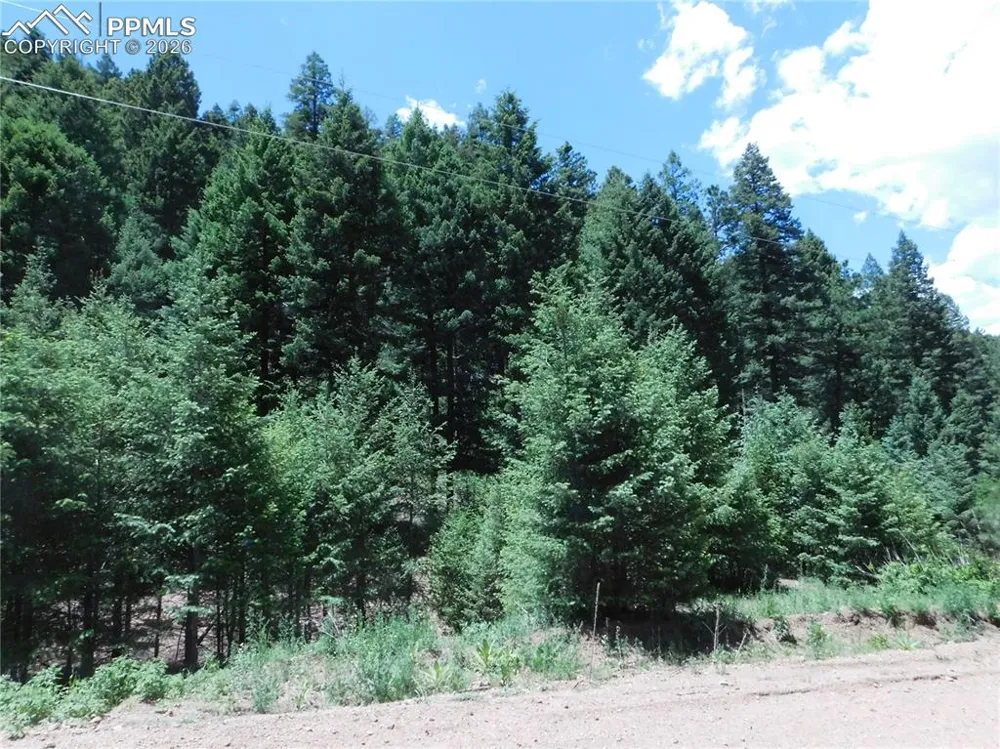 13175 Spruce Creek Circle Larkspur, CO 80118