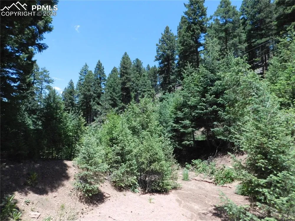 13175 Spruce Creek Circle Larkspur, CO 80118