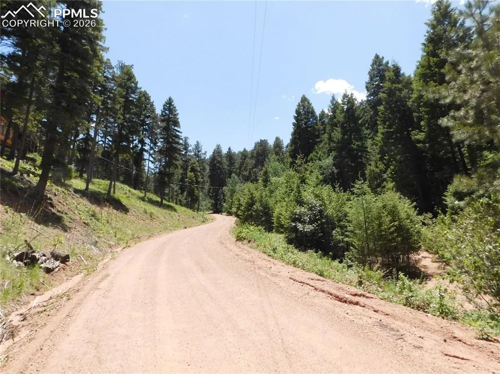 13175 Spruce Creek Circle Larkspur, CO 80118