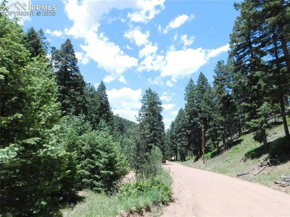 13175 Spruce Creek Circle Larkspur, CO 80118
