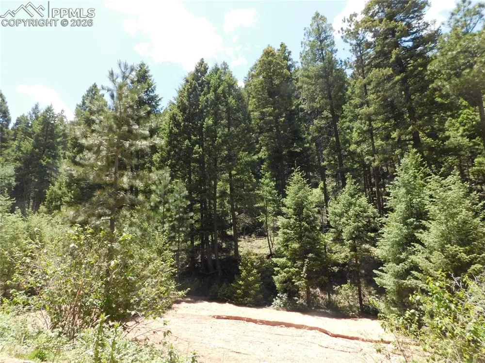 13175 Spruce Creek Circle Larkspur, CO 80118
