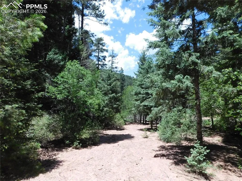13175 Spruce Creek Circle Larkspur, CO 80118