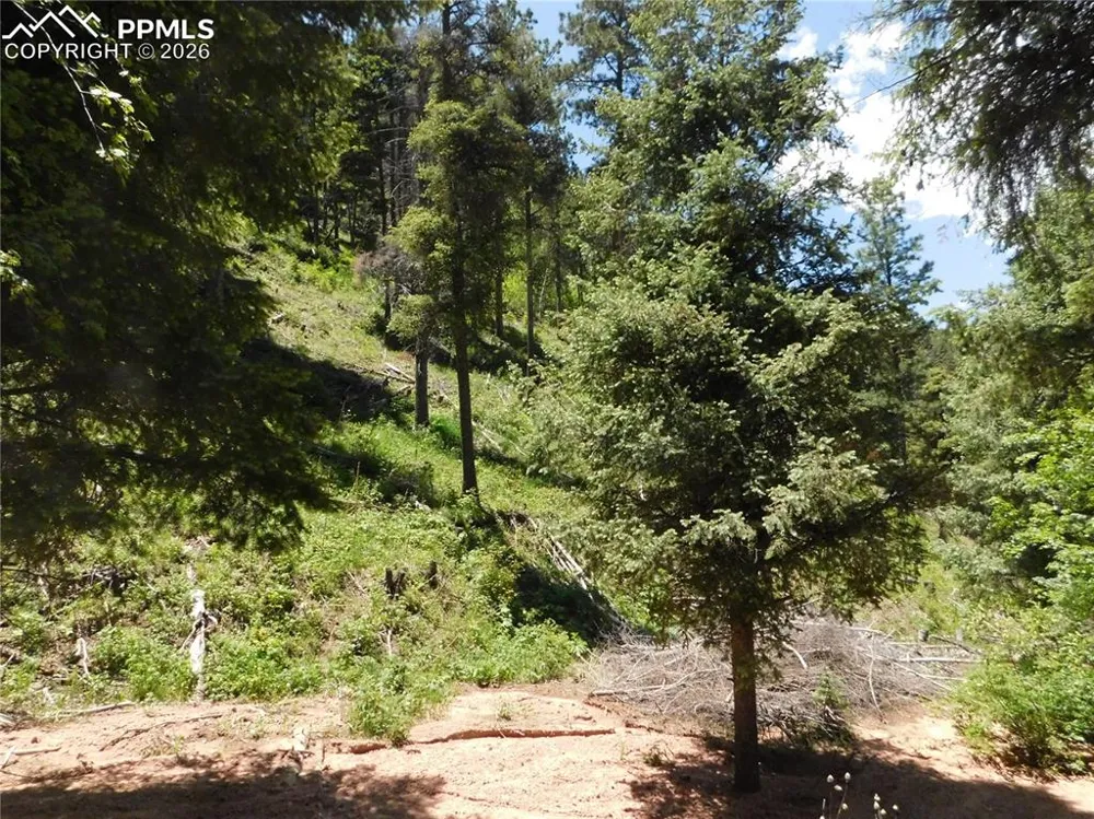 13175 Spruce Creek Circle Larkspur, CO 80118