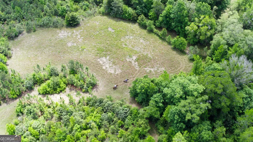 0 County Road 231 Abbeville, AL 36310