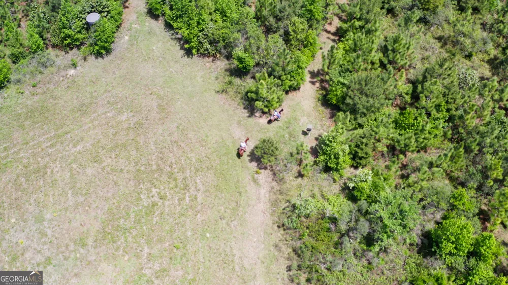 0 County Road 231 Abbeville, AL 36310