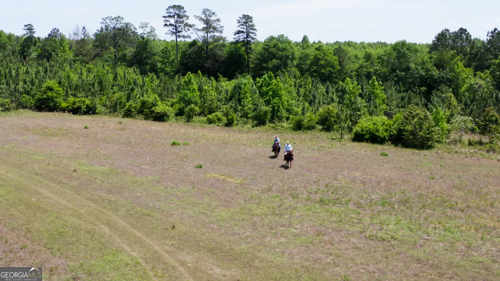 0 County Road 231 Abbeville, AL 36310