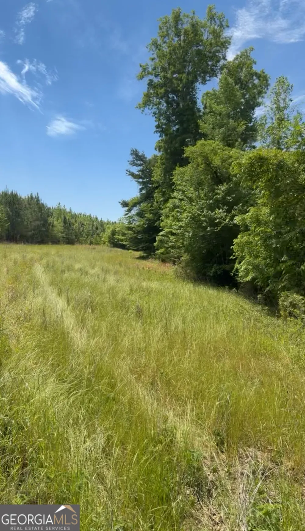 0 County Road 231 Abbeville, AL 36310