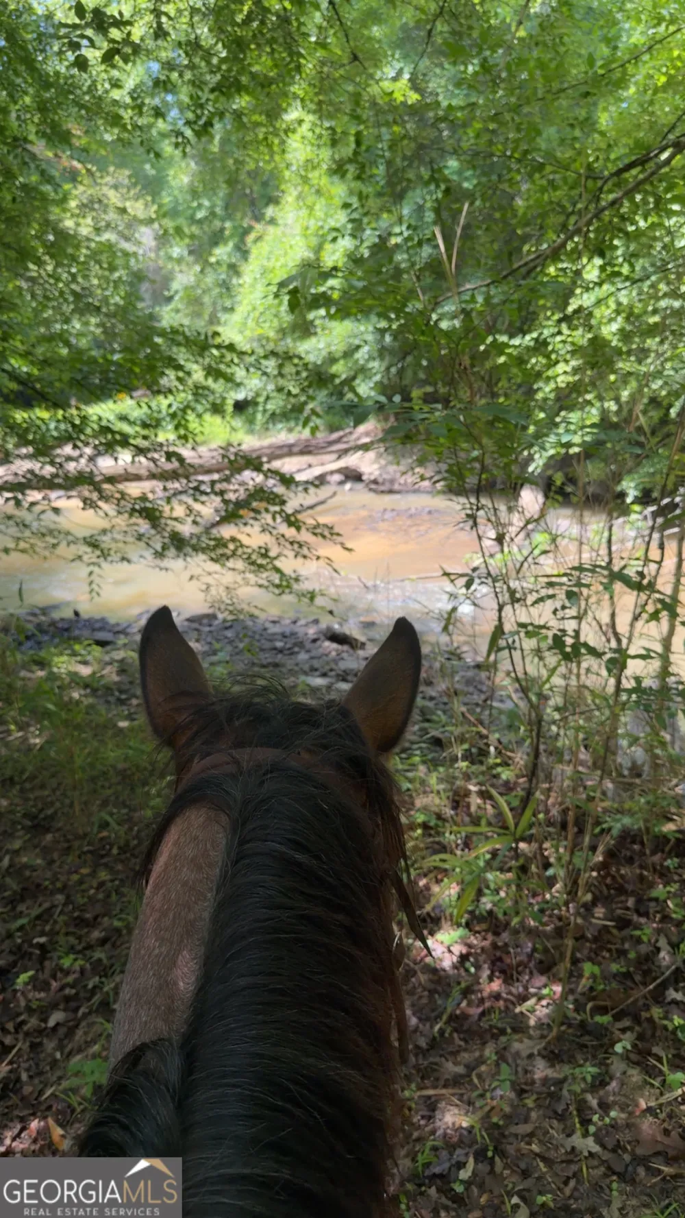 0 County Road 231 Abbeville, AL 36310