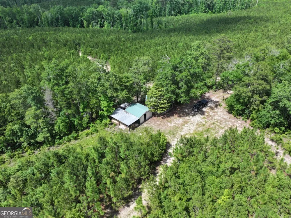 0 County Road 231 Abbeville, AL 36310