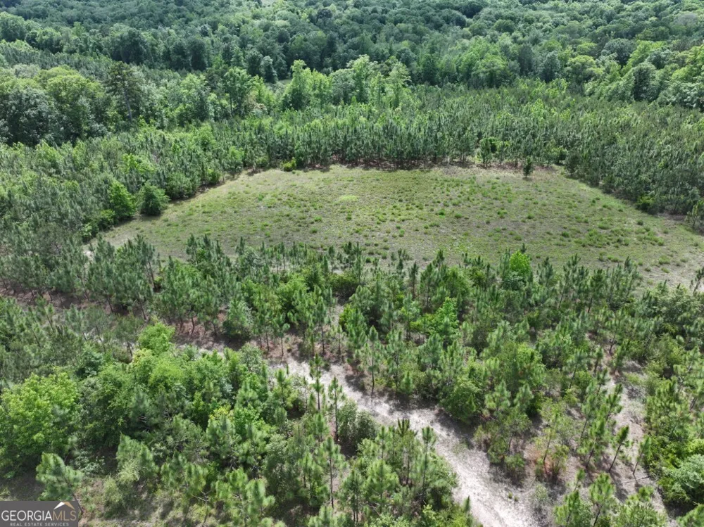 0 County Road 231 Abbeville, AL 36310