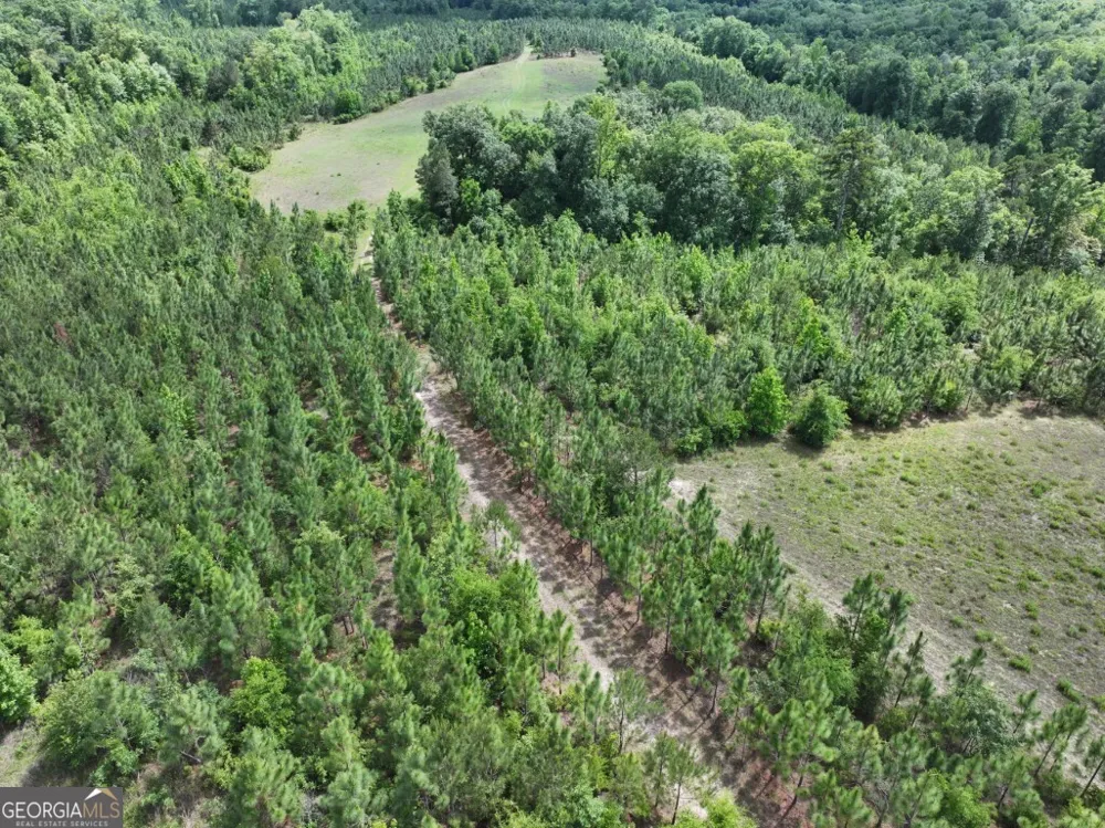 0 County Road 231 Abbeville, AL 36310