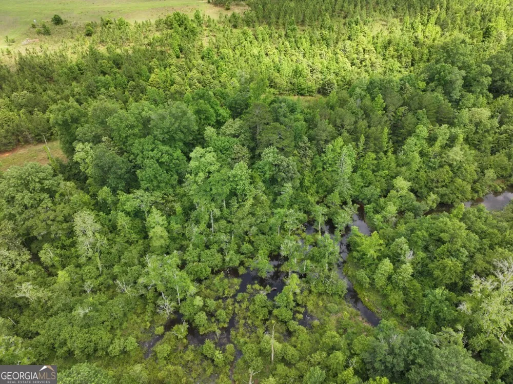 0 County Road 231 Abbeville, AL 36310