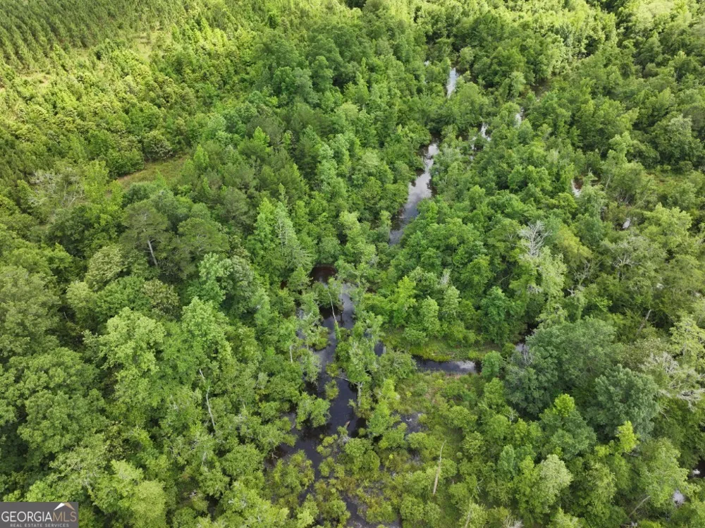 0 County Road 231 Abbeville, AL 36310