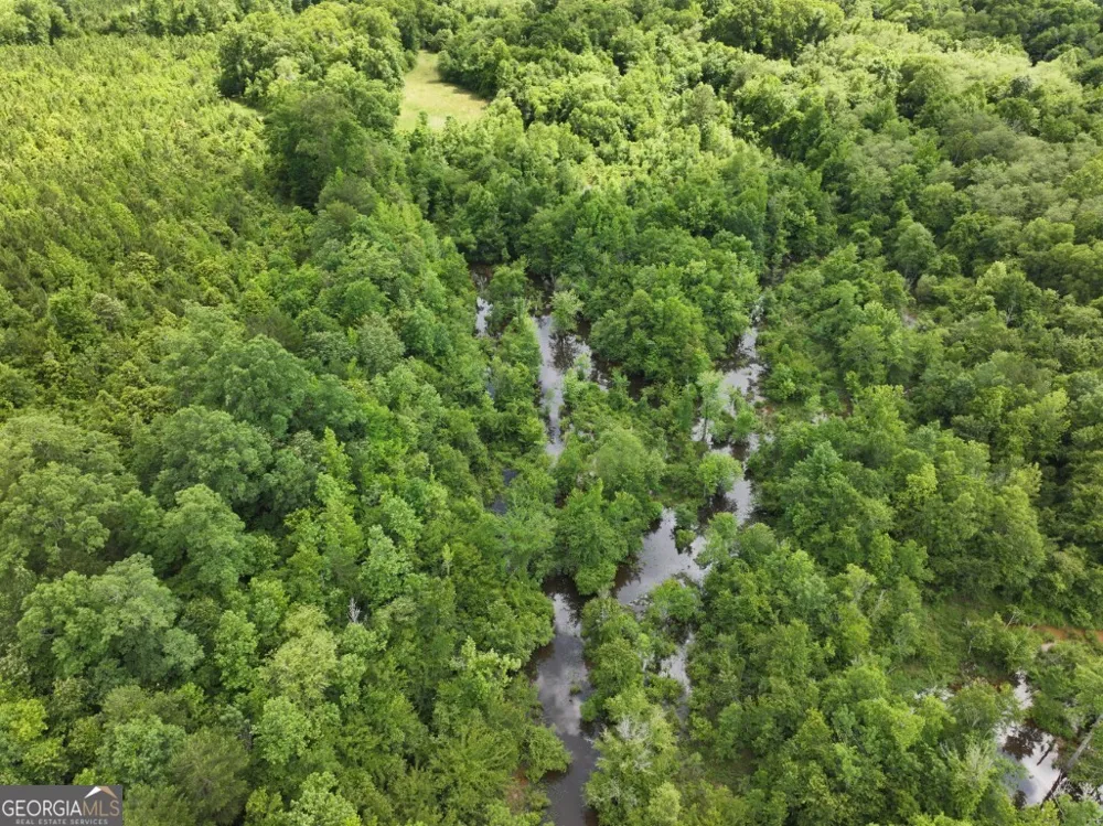 0 County Road 231 Abbeville, AL 36310