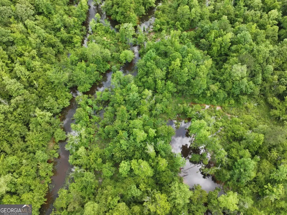 0 County Road 231 Abbeville, AL 36310