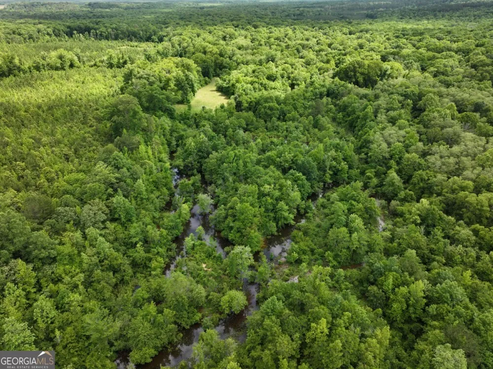 0 County Road 231 Abbeville, AL 36310