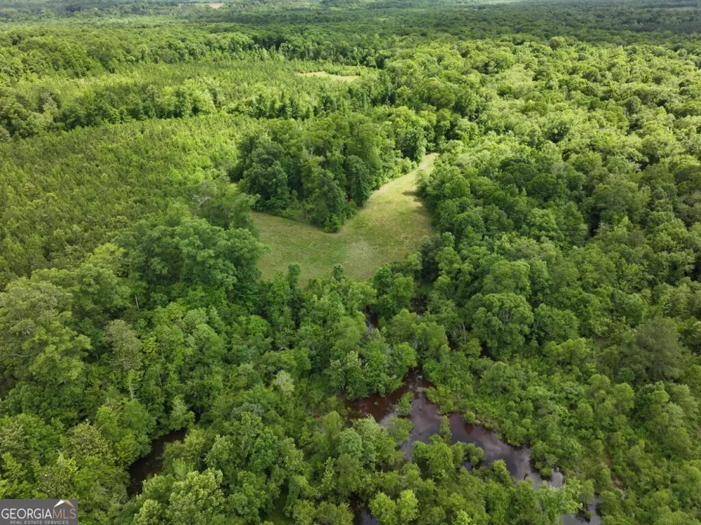 0 County Road 231 Abbeville, AL 36310