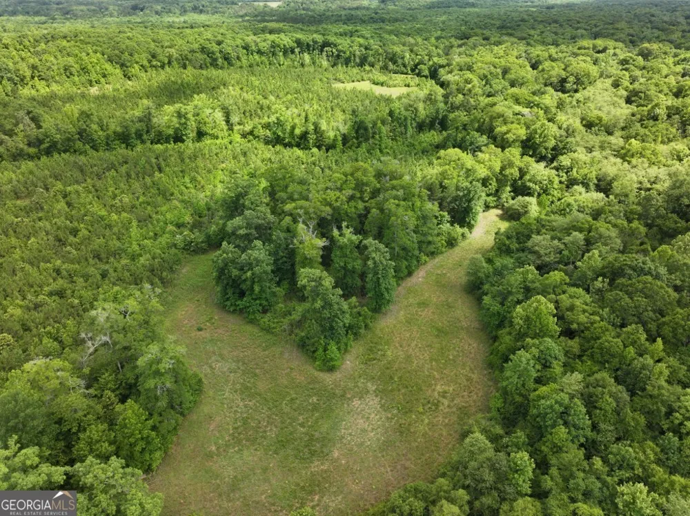0 County Road 231 Abbeville, AL 36310