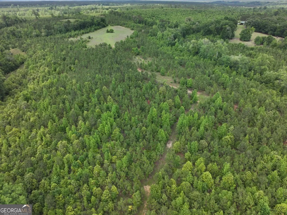 0 County Road 231 Abbeville, AL 36310