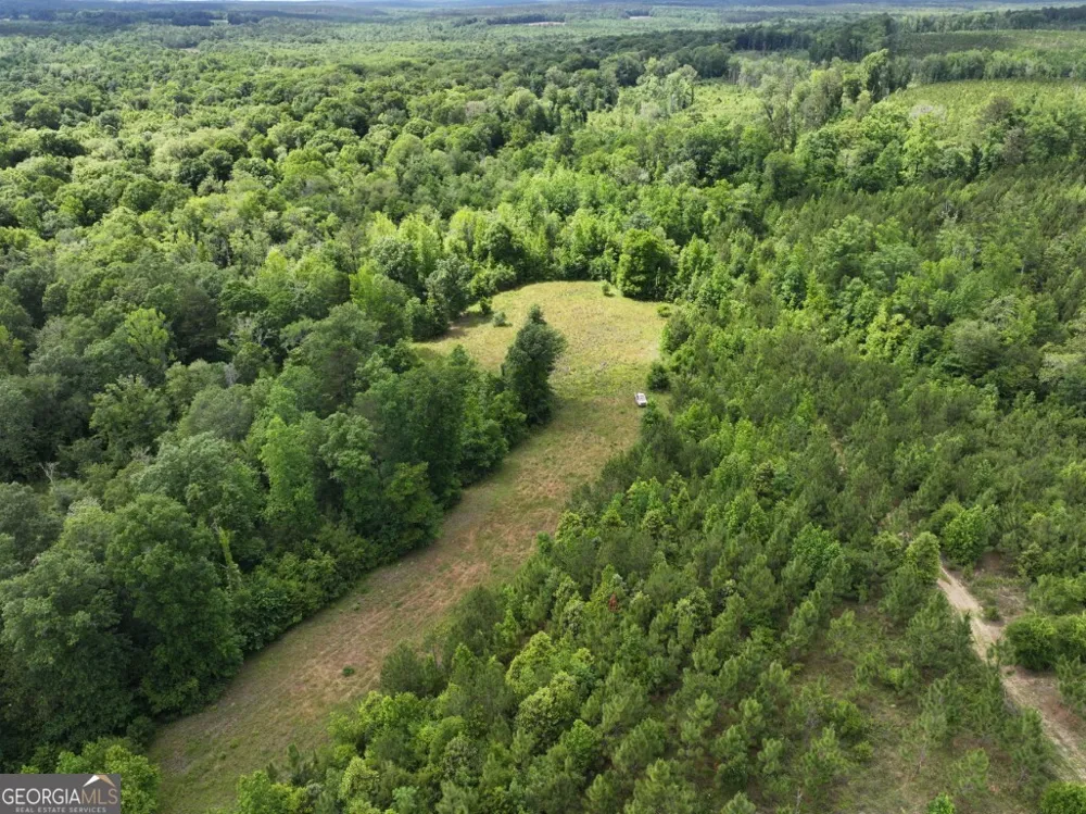 0 County Road 231 Abbeville, AL 36310