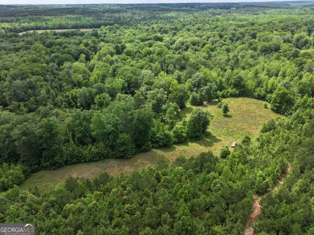 0 County Road 231 Abbeville, AL 36310