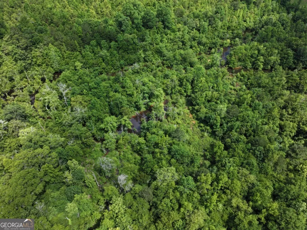 0 County Road 231 Abbeville, AL 36310