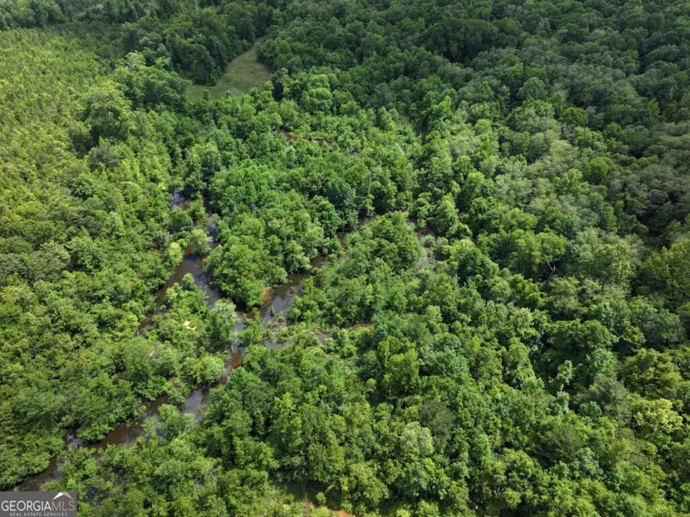 0 County Road 231 Abbeville, AL 36310