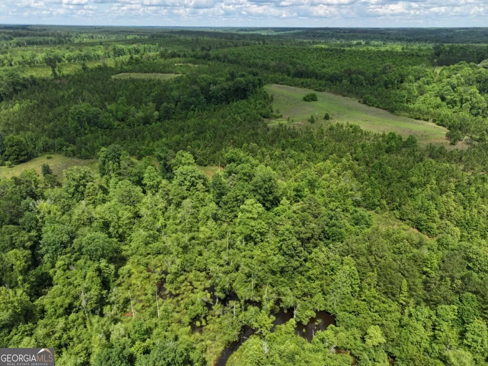 0 County Road 231 Abbeville, AL 36310