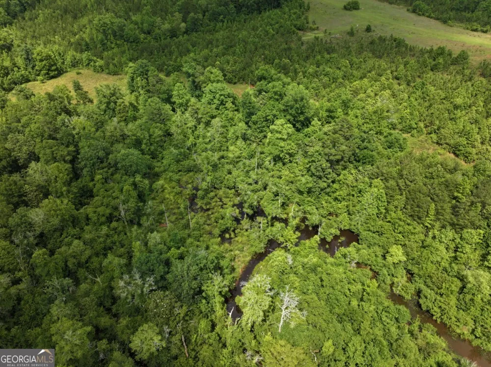 0 County Road 231 Abbeville, AL 36310