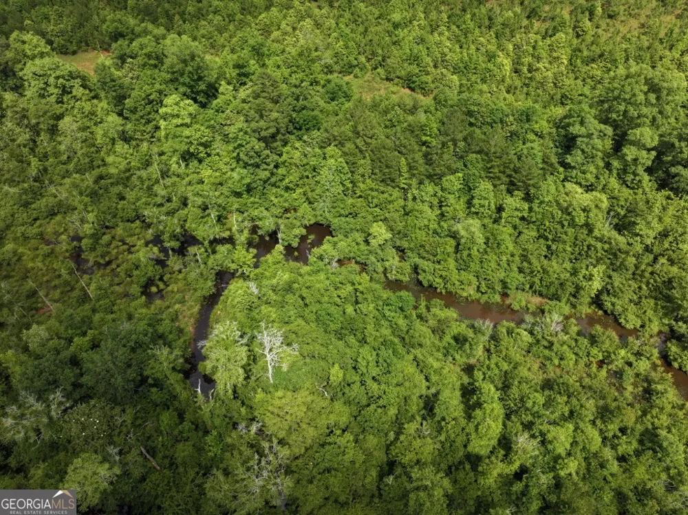0 County Road 231 Abbeville, AL 36310