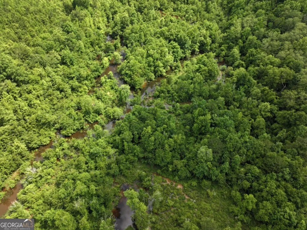 0 County Road 231 Abbeville, AL 36310